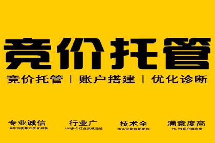 sem百度竞价实战：成功案例解析